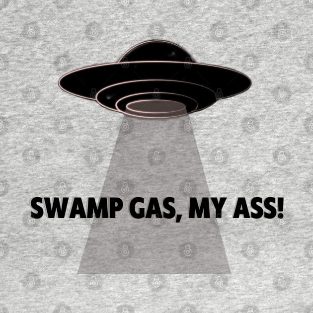 Swamp Gas by vhsisntdead